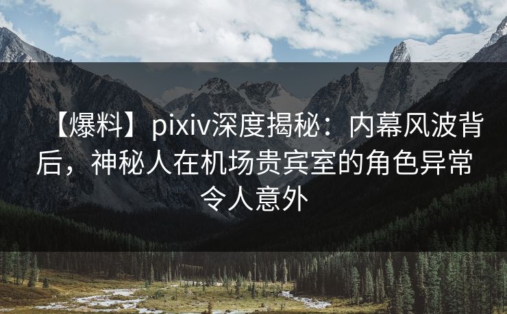 【爆料】pixiv深度揭秘：内幕风波背后，神秘人在机场贵宾室的角色异常令人意外