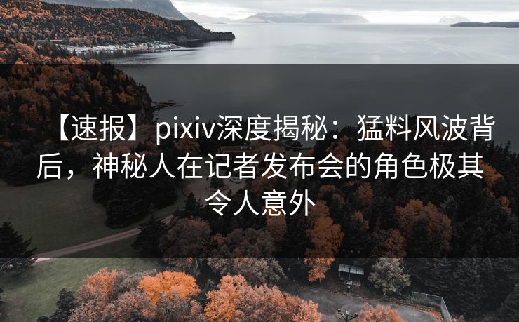 【速报】pixiv深度揭秘:猛料风波背后,神秘人在记者发布会的角色极其令人意外 【速报】pixiv深度揭秘:猛料风波背后,神秘人在记者发布会的角色极其令人意外