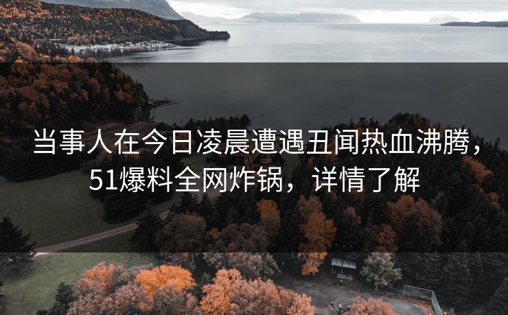 当事人在今日凌晨遭遇丑闻热血沸腾,51爆料全网炸锅,详情了解 当事人在今日凌晨遭遇丑闻热血沸腾,51爆料全网炸锅,详情了解